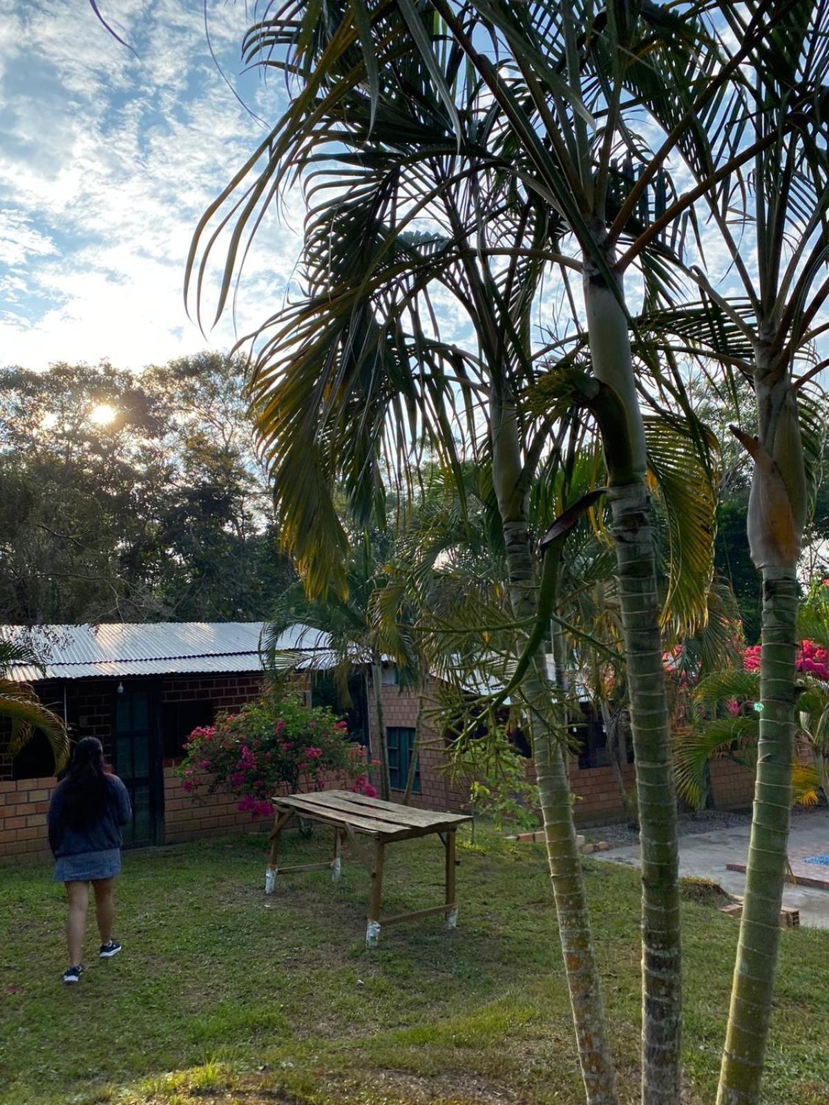 Choclino Ecolodge -Bungalows Tarapoto Exterior photo