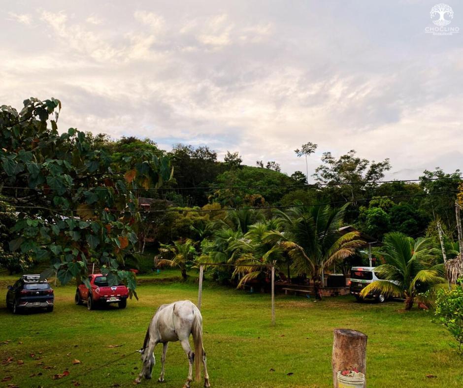 Choclino Ecolodge -Bungalows Tarapoto Exterior photo